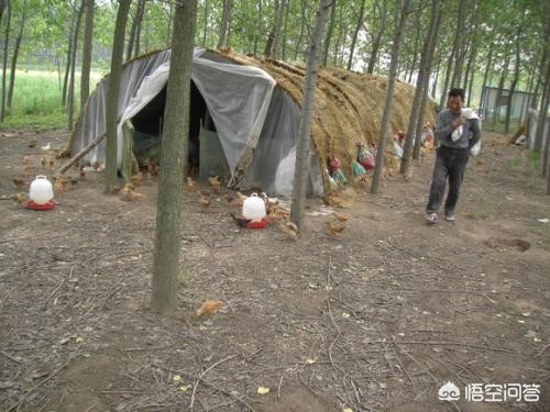 00 后父母带娃新方式:拒绝鸡娃,推行 “放养式教育” 00 后父母带娃新方式:拒绝鸡娃,推行 “放养式教育”