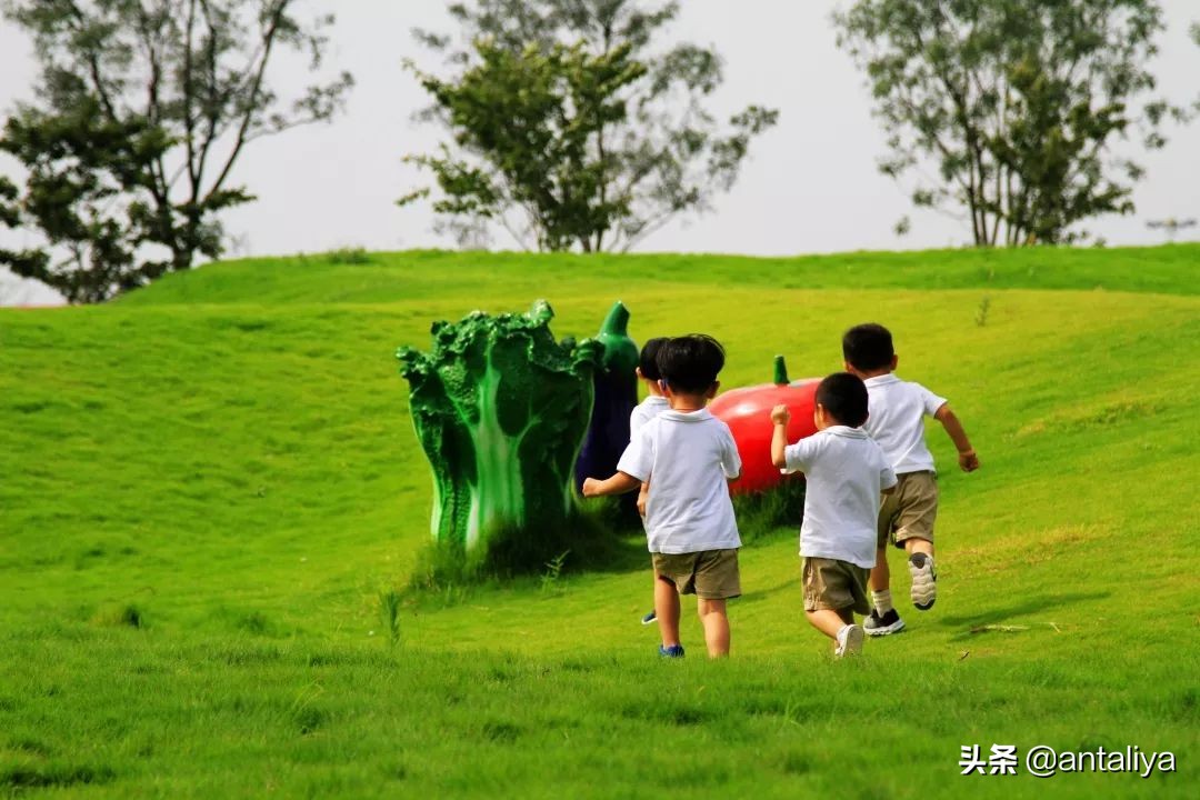 幼儿园入学竞争比 100:1!家长为抢名额连夜排队 幼儿园入学竞争比 100:1!家长为抢名额连夜排队